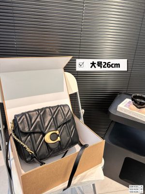 Coach 2024 Square Tabby