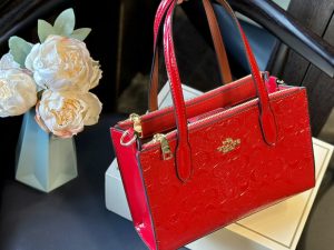 Coach Nina Tote Bag