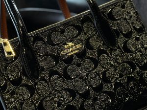 Coach Nina Tote Bag 2 - Image 3