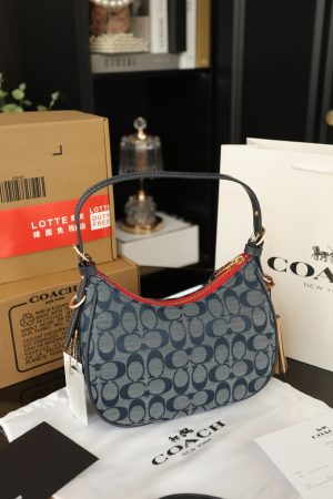 COACH Kleo Chanbrelle Underarm Bag
