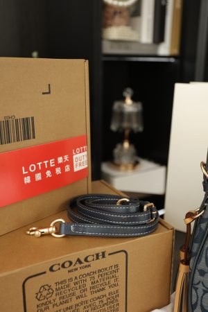 COACH Kleo Chanbrelle Underarm Bag - Image 6