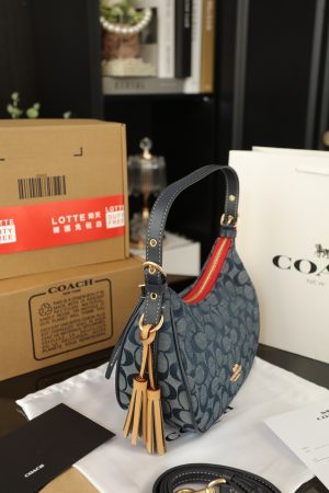 COACH Kleo Chanbrelle Underarm Bag - Image 2