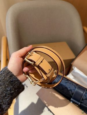 Coach Georgie series latest Chambre Dionysus bag - Image 8