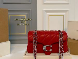 COACH Tabby Dionysus Chain Bag
