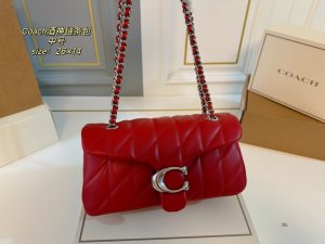 COACH Tabby Dionysus Chain Bag - Image 2