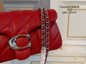 COACH Tabby Dionysus Chain Bag - Image 8