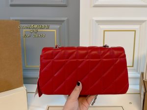 COACH Tabby Dionysus Chain Bag - Image 6
