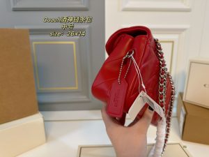 COACH Tabby Dionysus Chain Bag - Image 5